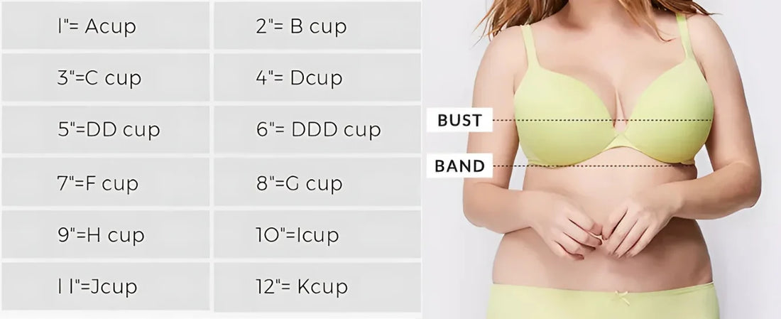 L Cup Bras vs Smaller Sizes - Which Style Suits Your Needs Best