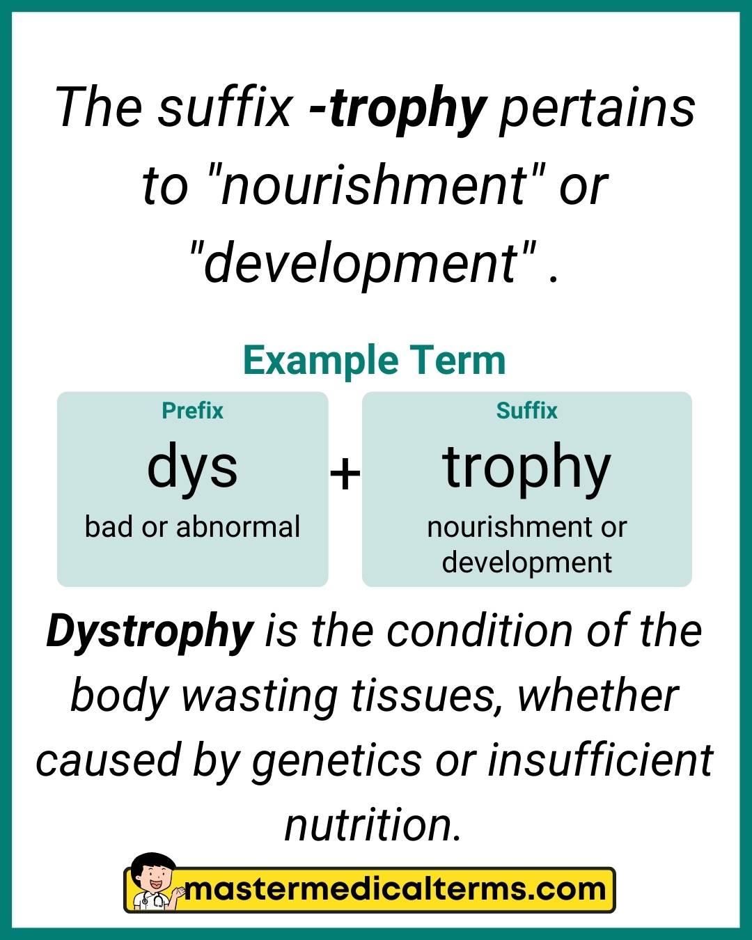 Trophy medical term meaning? Quick guide to understanding this term