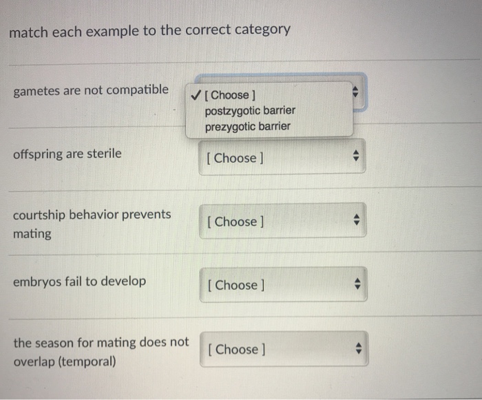 match each example to the correct category