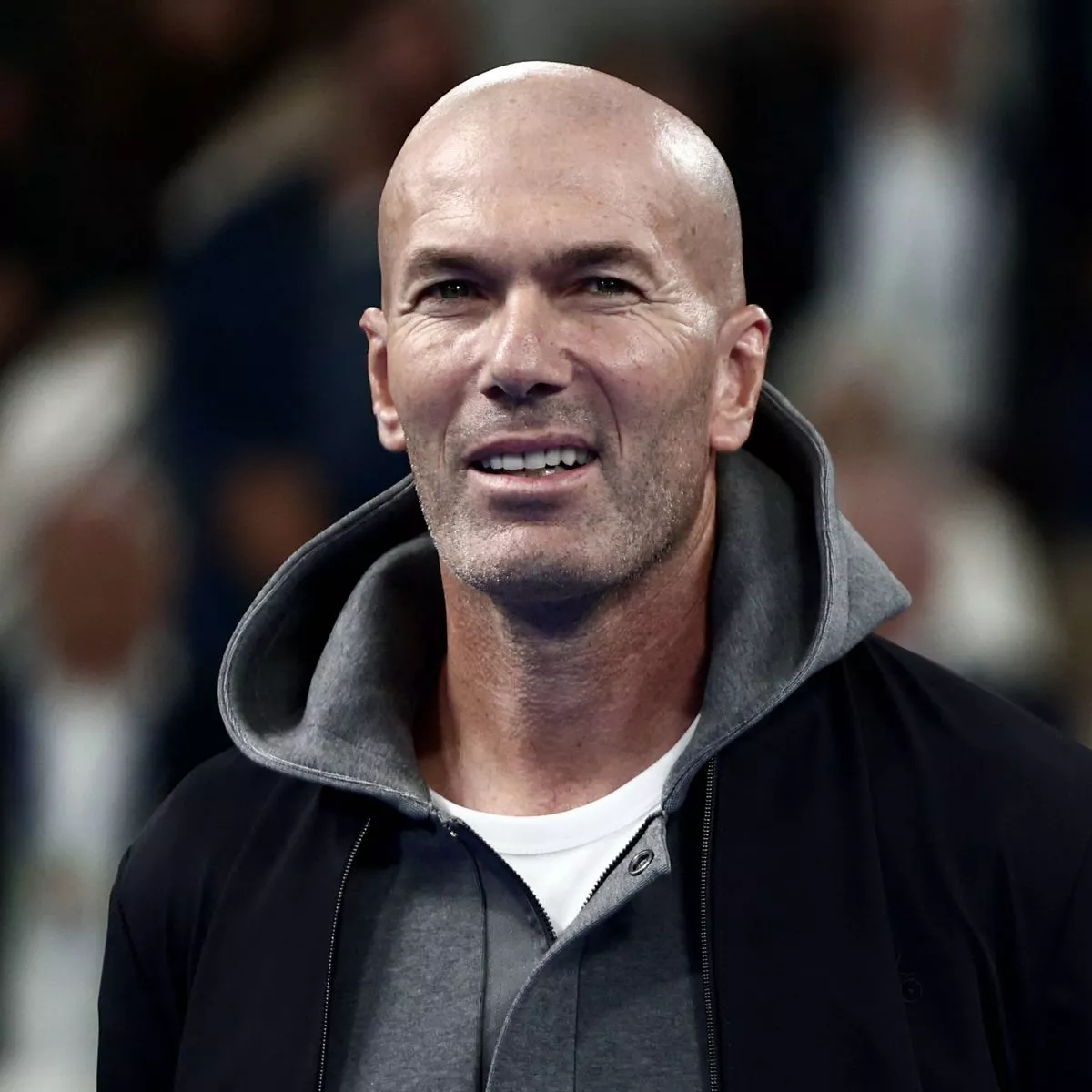 zedan zedan what is new latest updates today