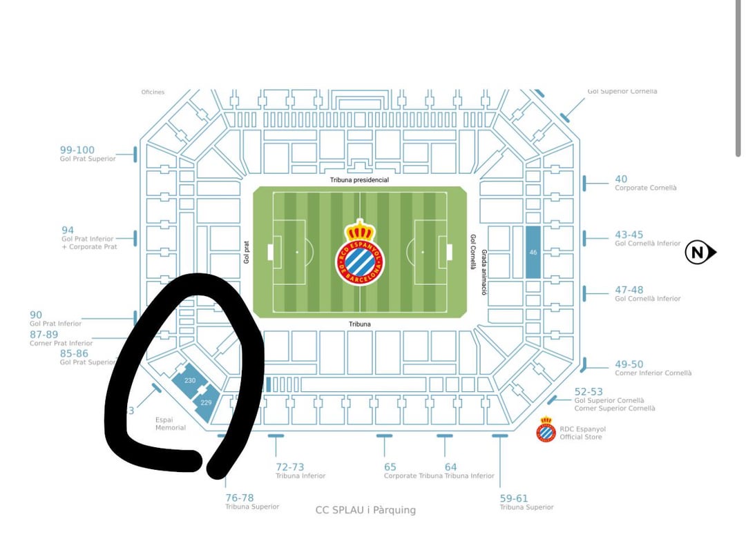 RCD Espanyol Positions Against Barcelona A Simple Guide for Fans