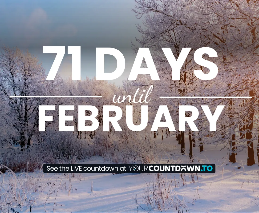 How many more days until february？ (See the exact countdown right now!)