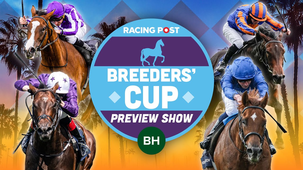 Who Will Win the Breeders Cup World Championships？ Expert Betting Picks!