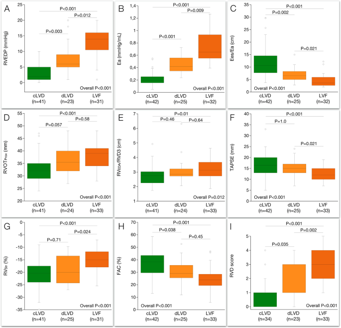 RV vs VCF Stats： See Who Is Expected To Score!