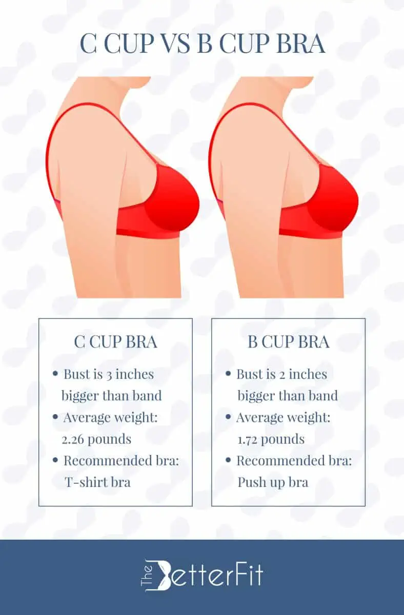 What does a C cup look like? Compare it with other cup sizes!