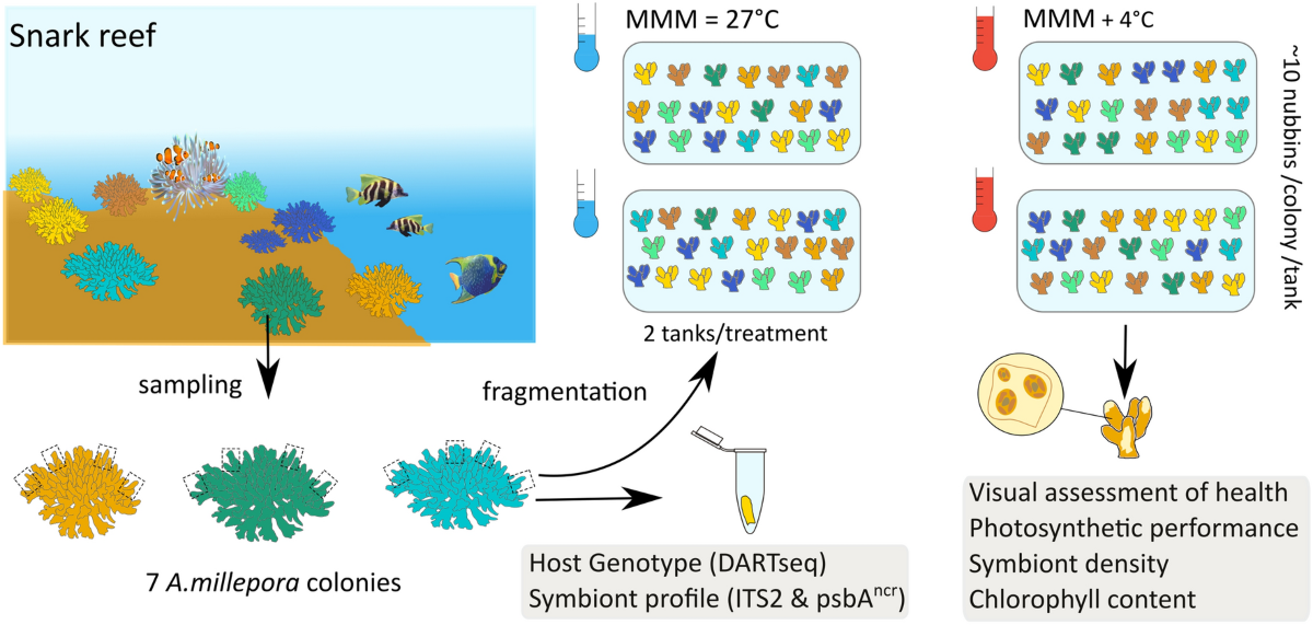 What makes juvenil segunda grupo 1 special? Discover the secrets!
