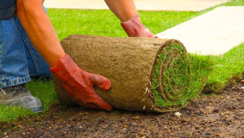 Laying your new South Wales turf the right way？ (Follow this simple step-by-step guide)