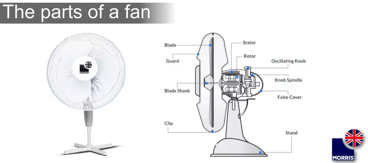 What features should a good table fan table have？ Check these key points!