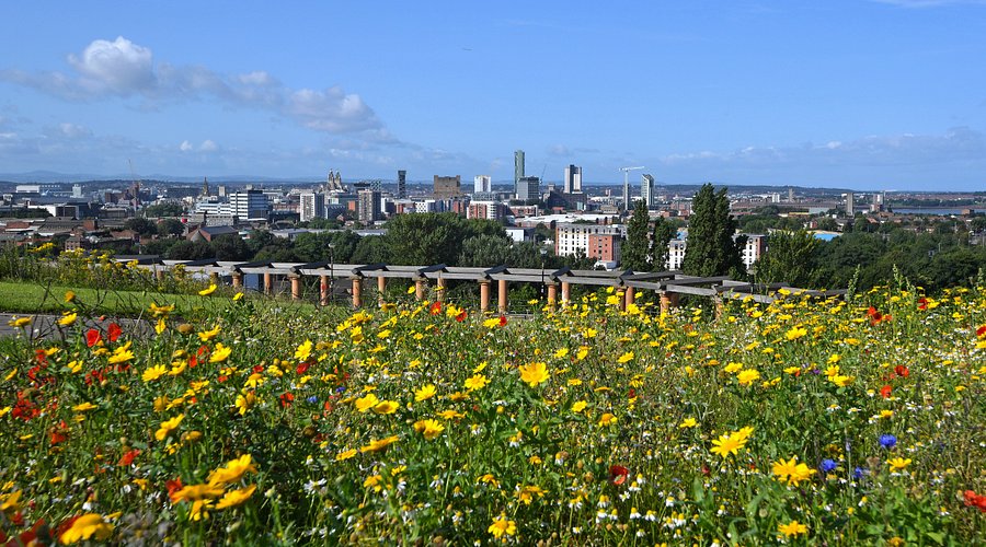 What to do in Everton Park Liverpool？ Here are top 5 activities!