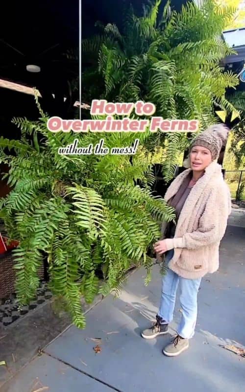 Is Casa El Macho worth visiting? Insights from experienced travelers!