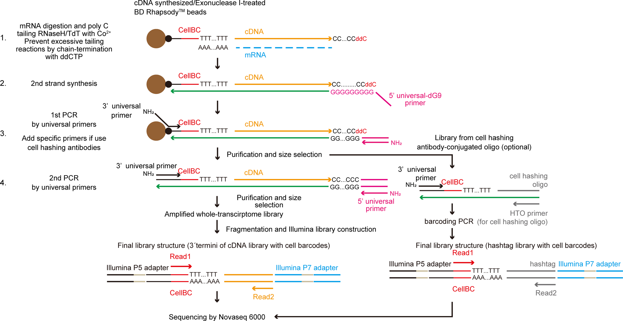 t.a.s. analisi： Best test methods used.