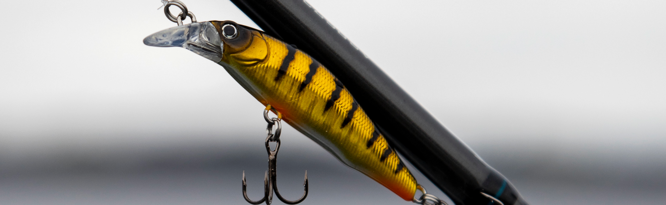 Top 5 Euro Tackle Lures for Trout Fishing？ See These Must-Haves Before Your Next Trip!