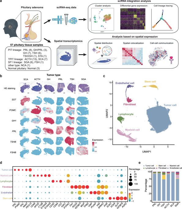 Whats new in notas mir 2025？ Latest updates revealed