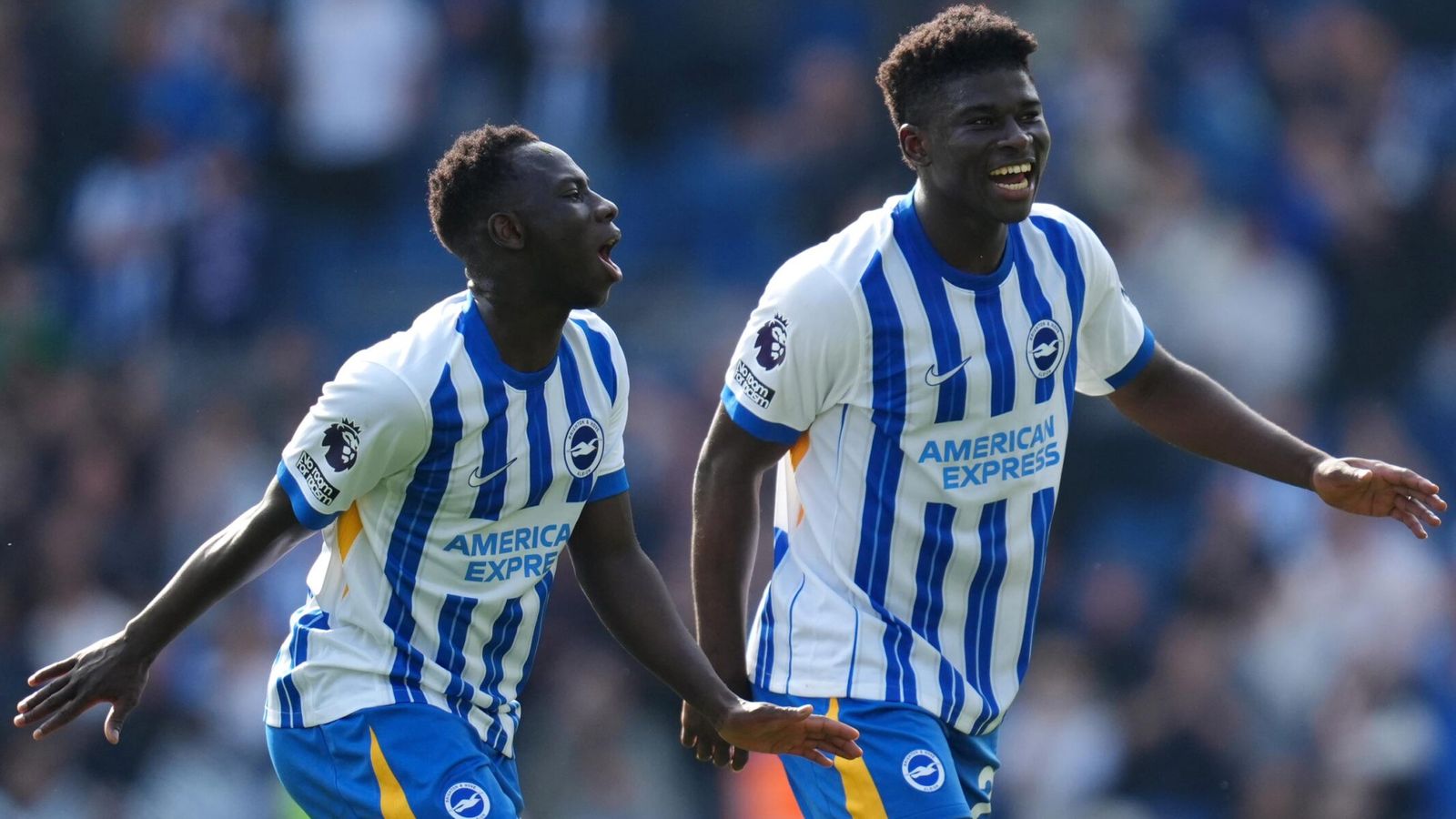 Where to get the best Brighton & Hove Albion F.C. vs West Ham stats？ Heres the answer!