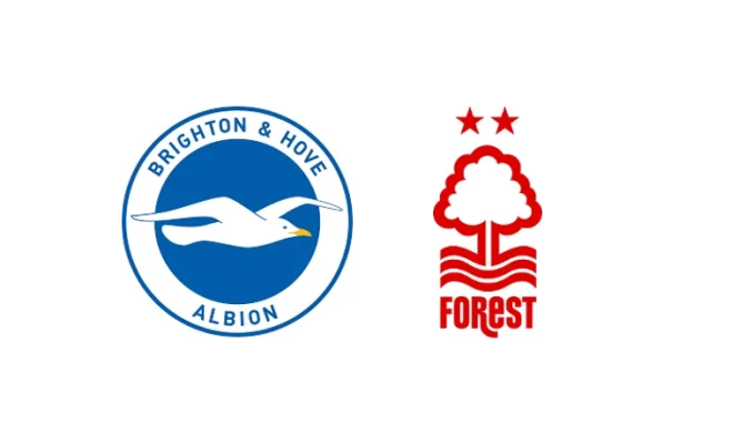 Nottingham Forest vs Brighton & Hove Albion FC stats: What are the significant statistics?