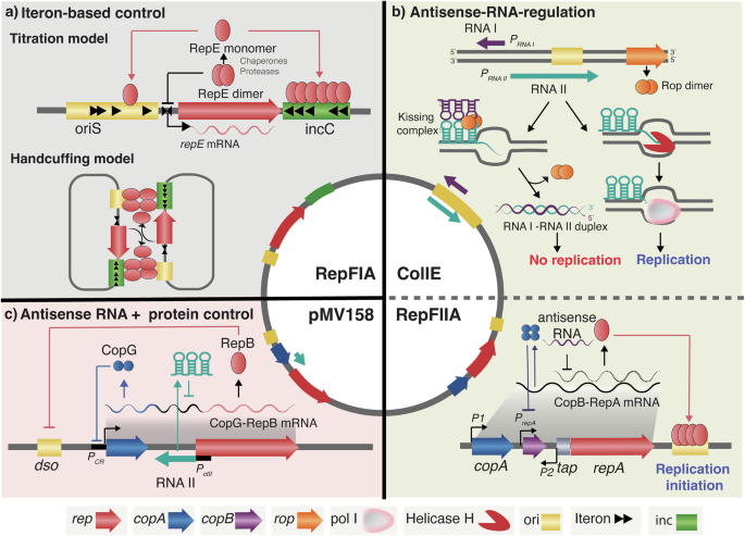 What are the features of Copas 66？ Discover its unique advantages!