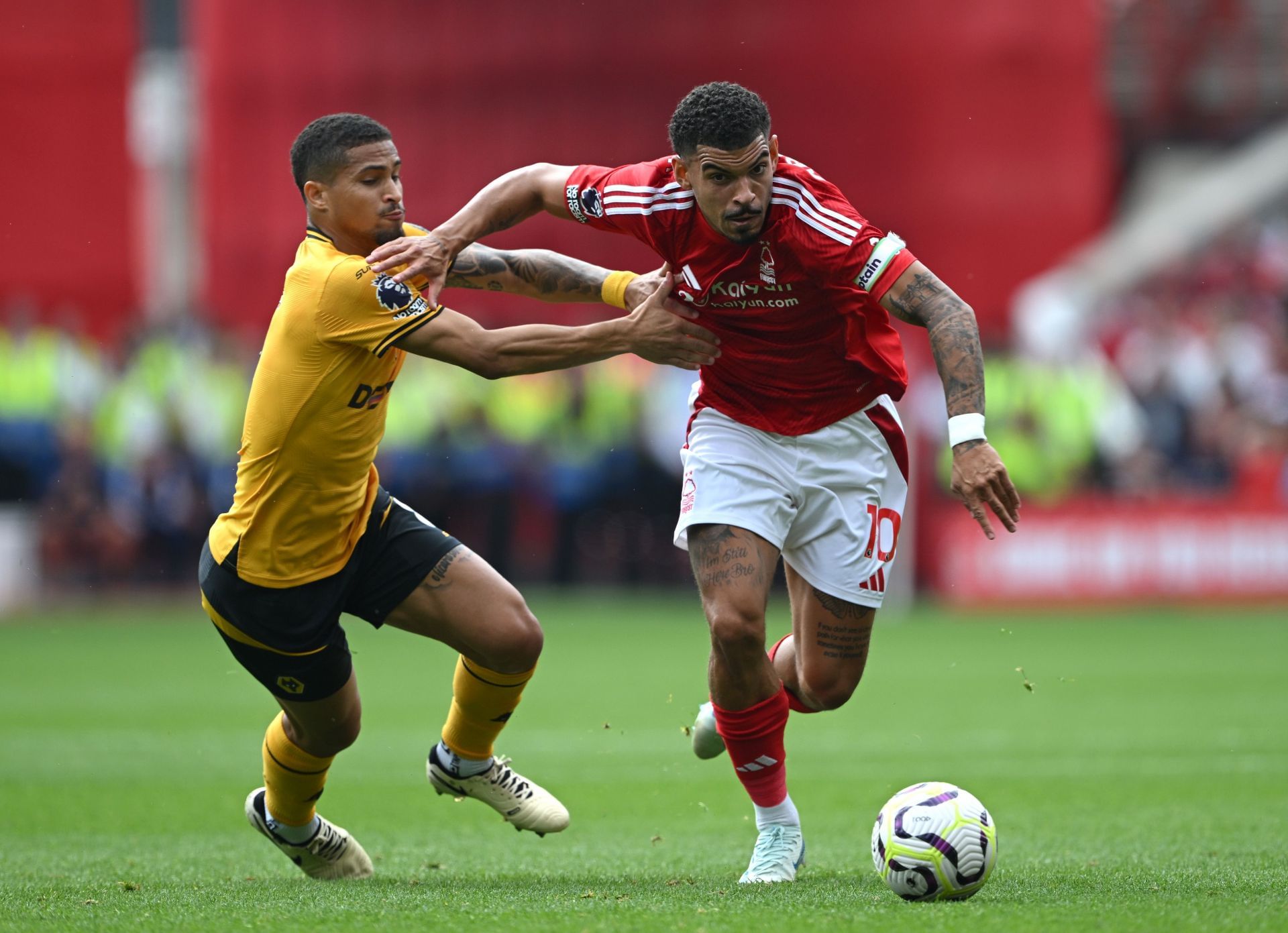 Nottingham Forest vs Wolves F.C. Stats： Pundits predict these key results for the match!