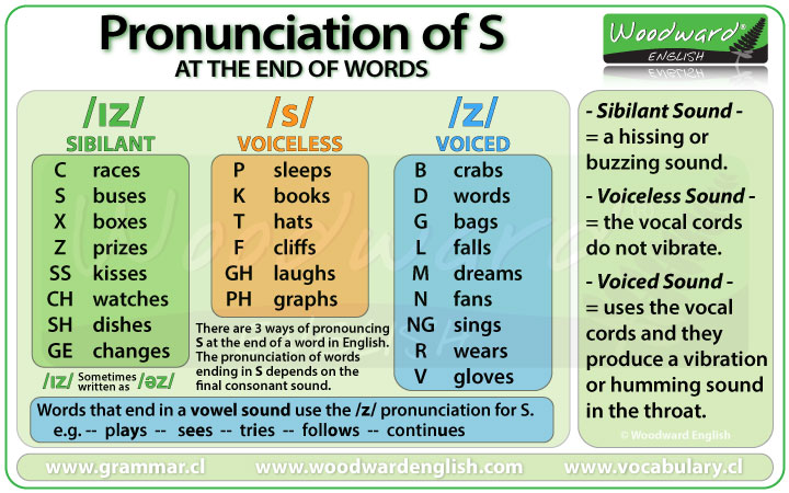 Are You Struggling with word final s Plurals？ Use This Easy Voiced Sound Trick!