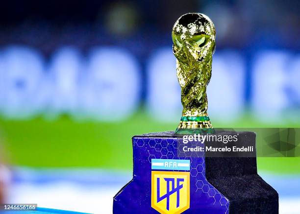 What does the trophy of fifa world cup actually look like? (HD Photo Guide)