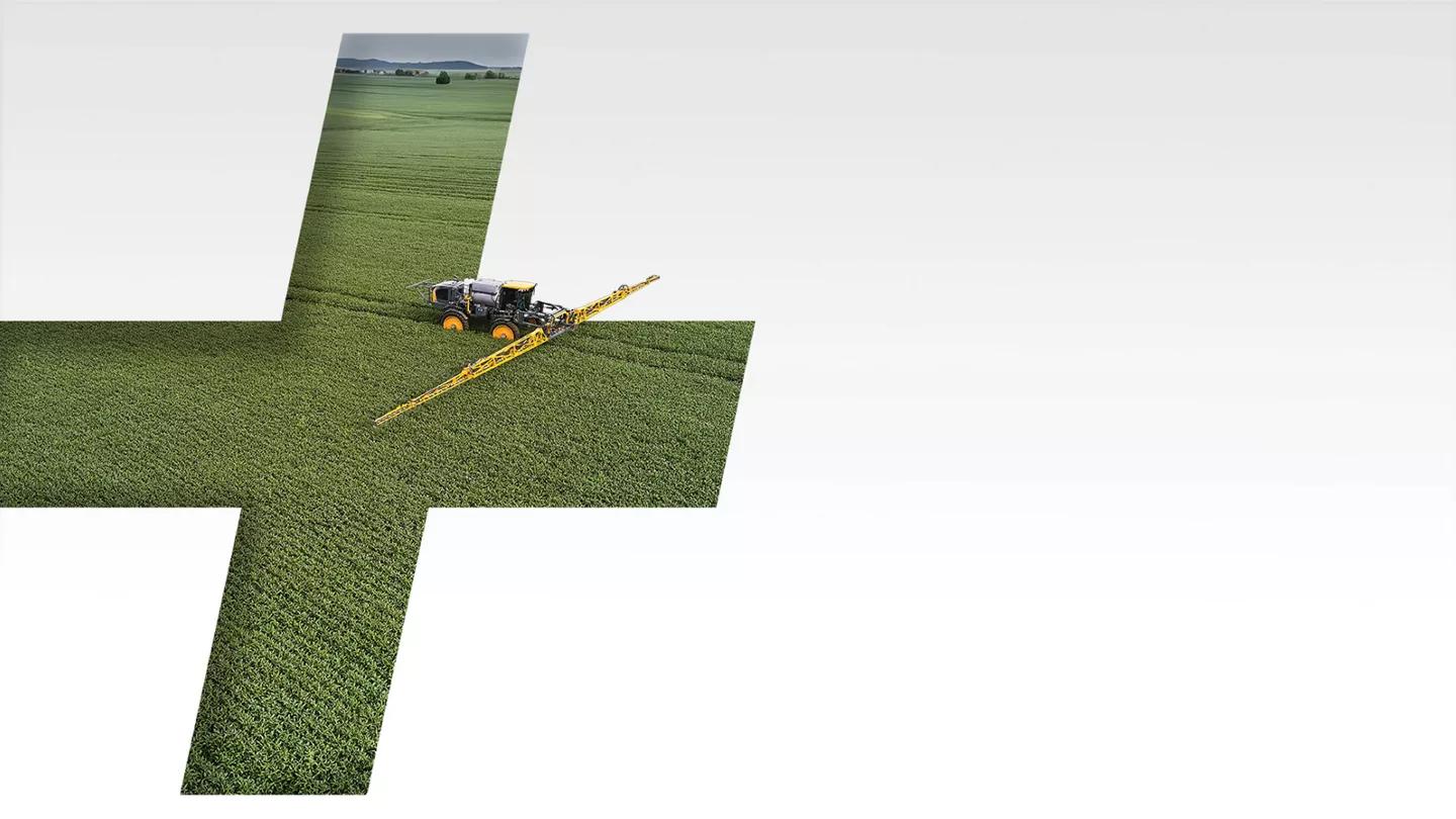 What are bayer rewards？ A guide to this great program!