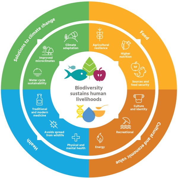 What benefits does uindex.org bring？ Discover its advantages!