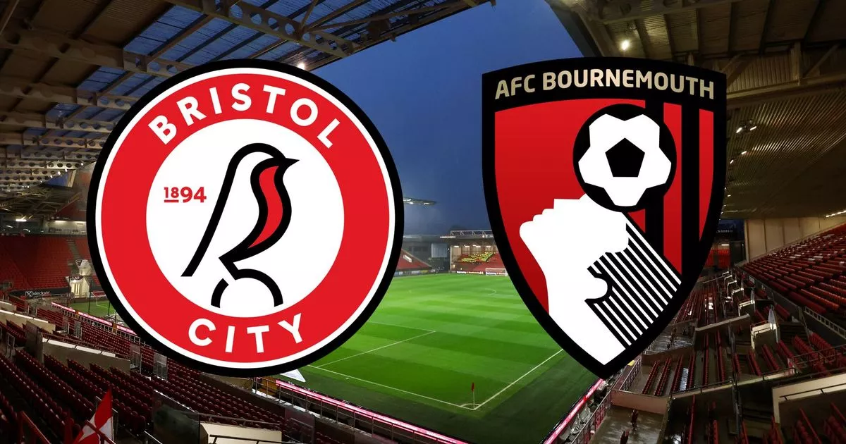 How important are the stats in a.f.c. bournemouth vs bristol city f.c.? Know more!