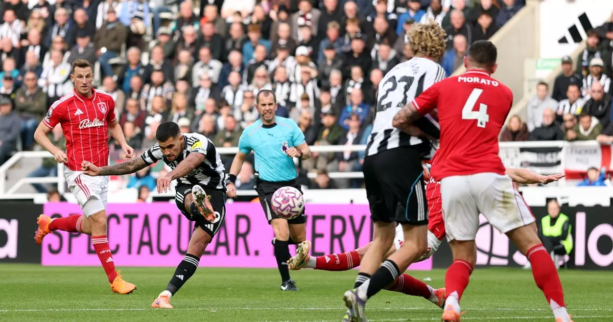 Whats in Newcastle United F.C. vs Nottingham Forest timeline？ Find the highlights here!
