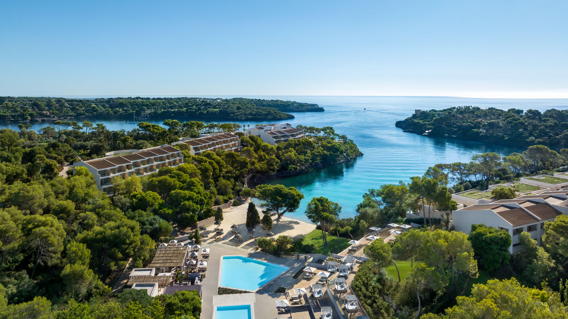 Is the Petro Club worth it? Experts share their views!