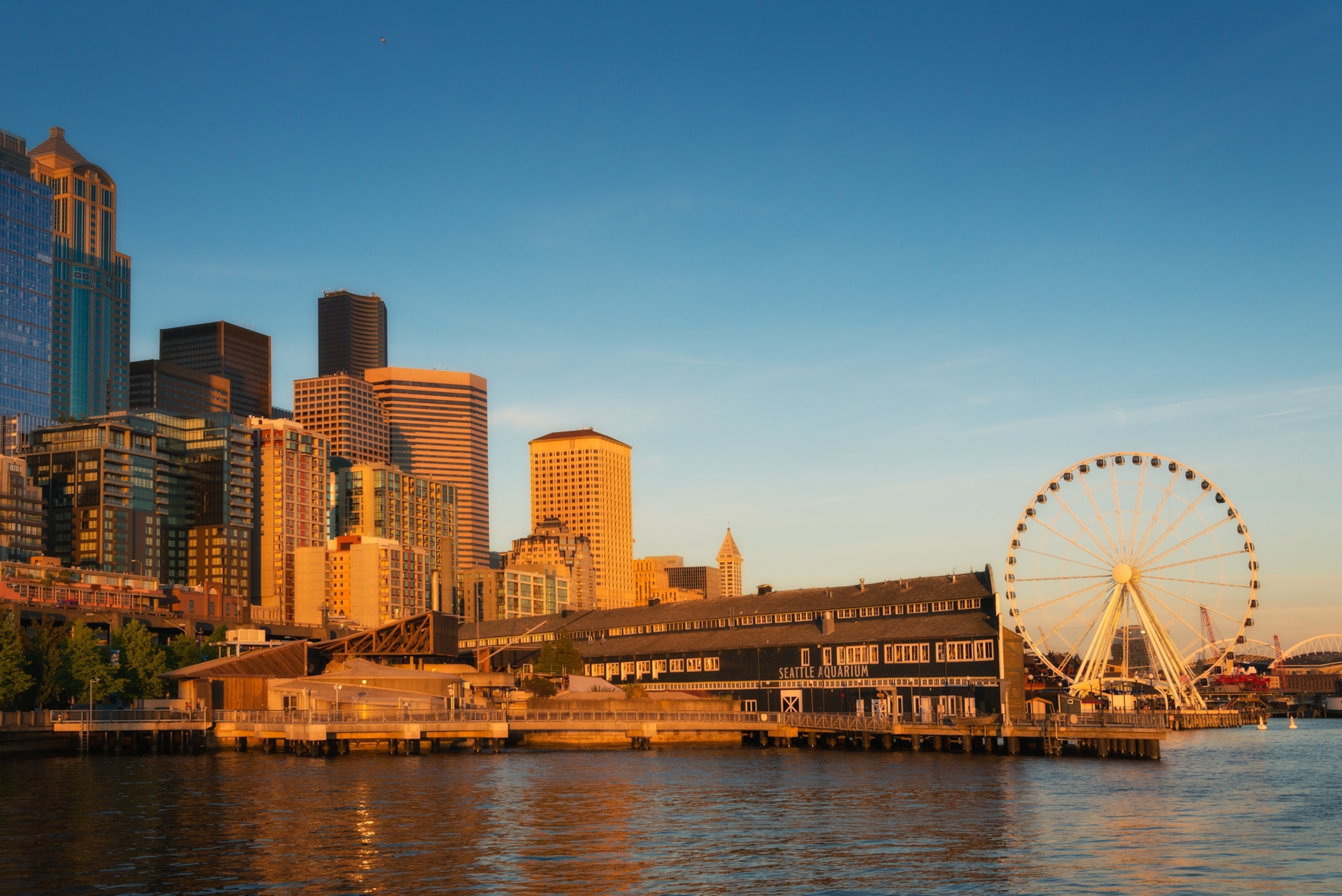 What to Do in Seattle During the FIFA World Cup 2026 (Your Ultimate Fan Travel Guide)