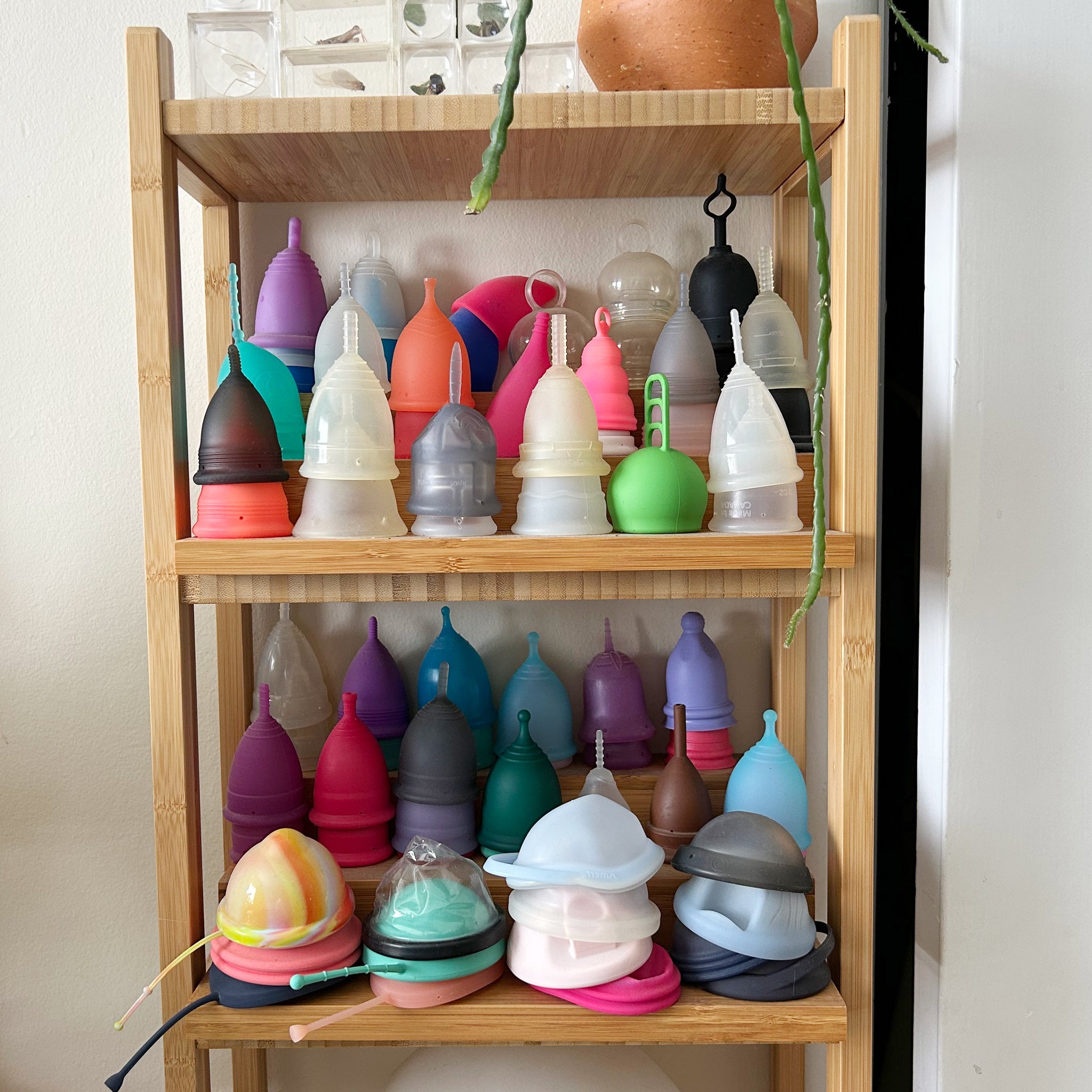 Where to buy a fem cup? Top online stores recommended!