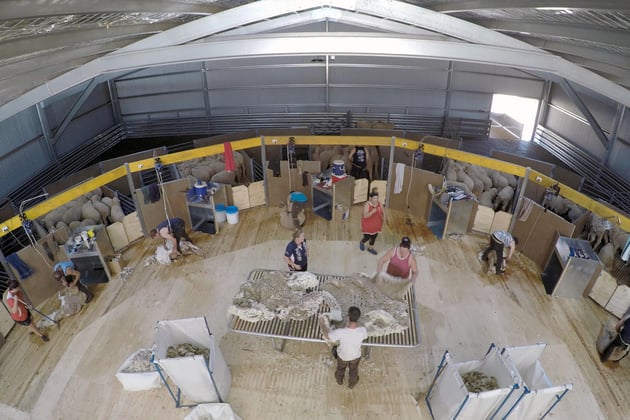 What features should a good shearers portal have？ A detailed guide!