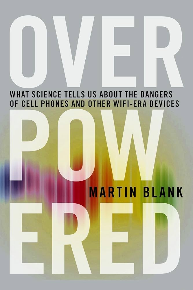 Where to find una misura approssimativa examples？ Check these sources