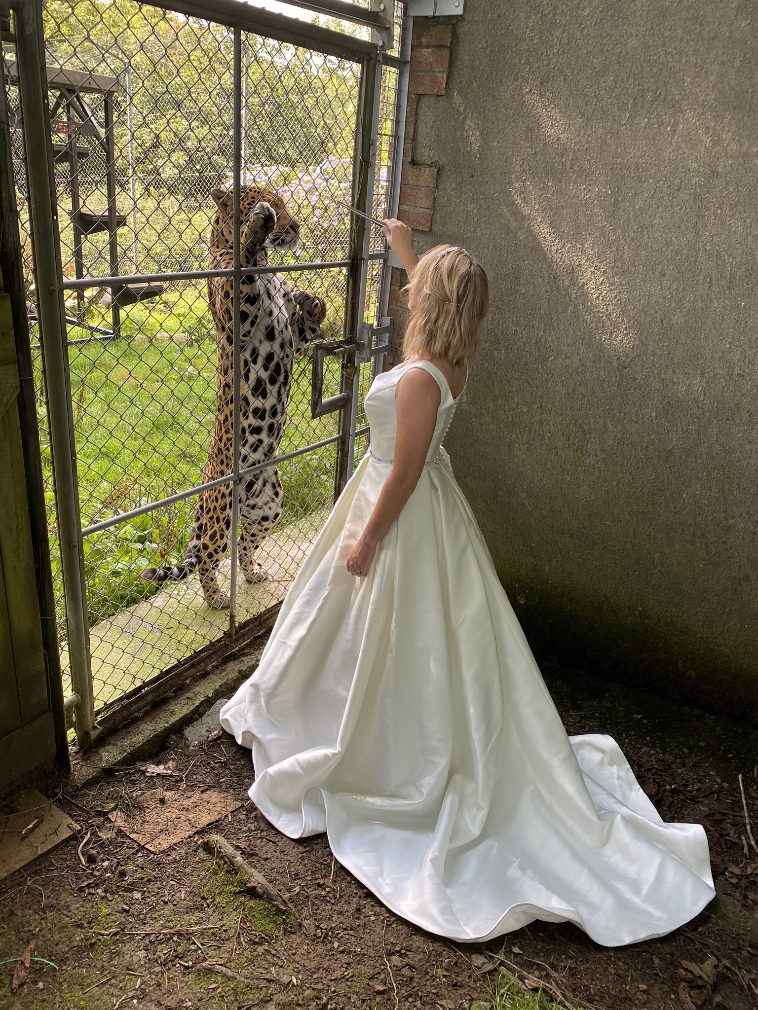 Remarried Benjamin Mee: A Look at His Life and New Wife