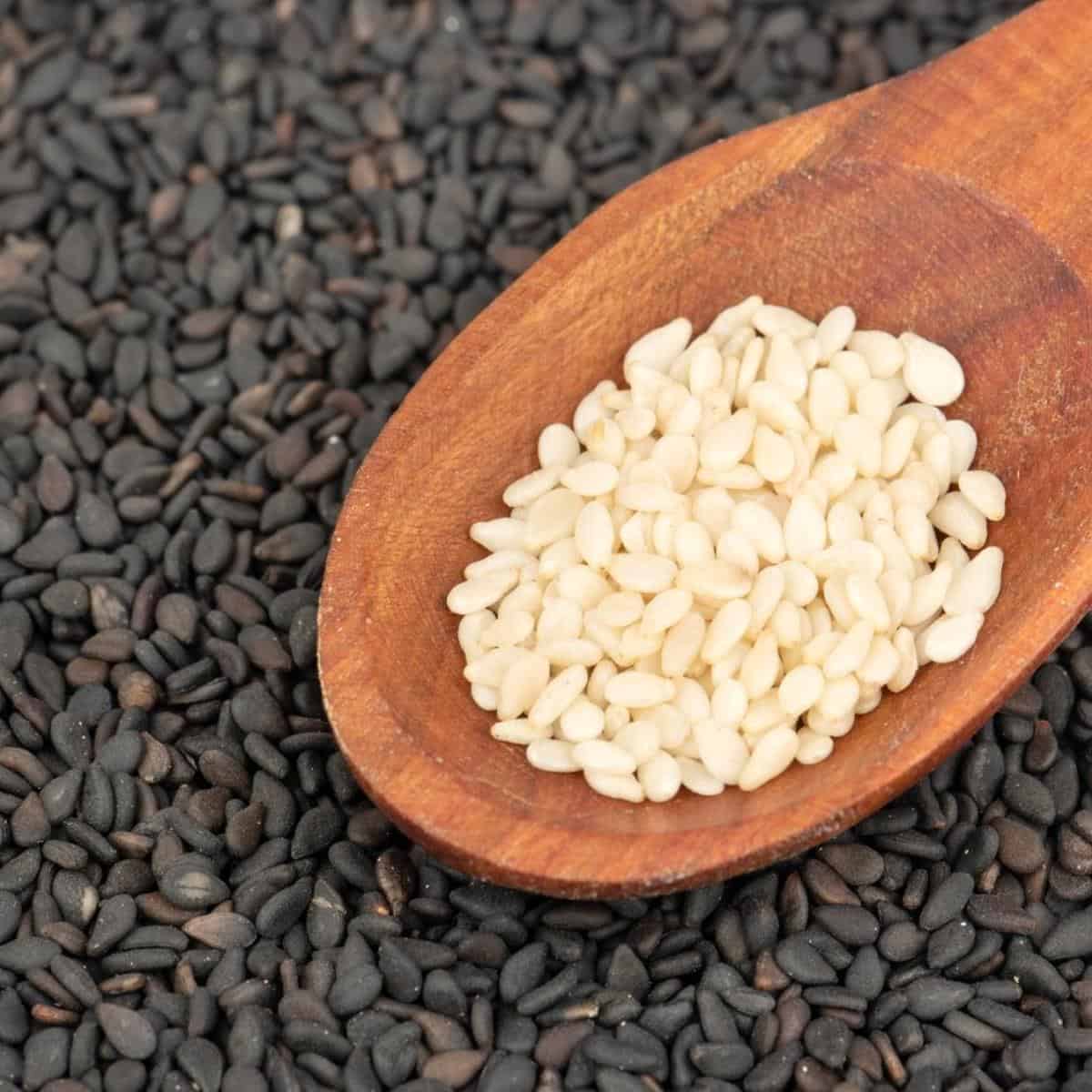 alternative to sesame seeds:substitute for sesame seeds