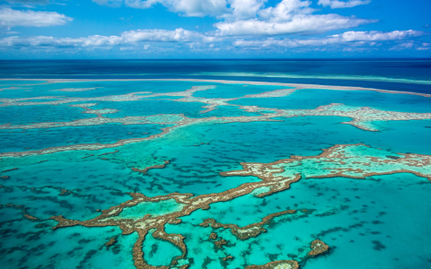 is australian gold reef safe：is the australian gold reef safe for marine life？