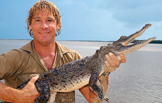 pic of steve irwin:photo of the crocodile hunter, steve irwin