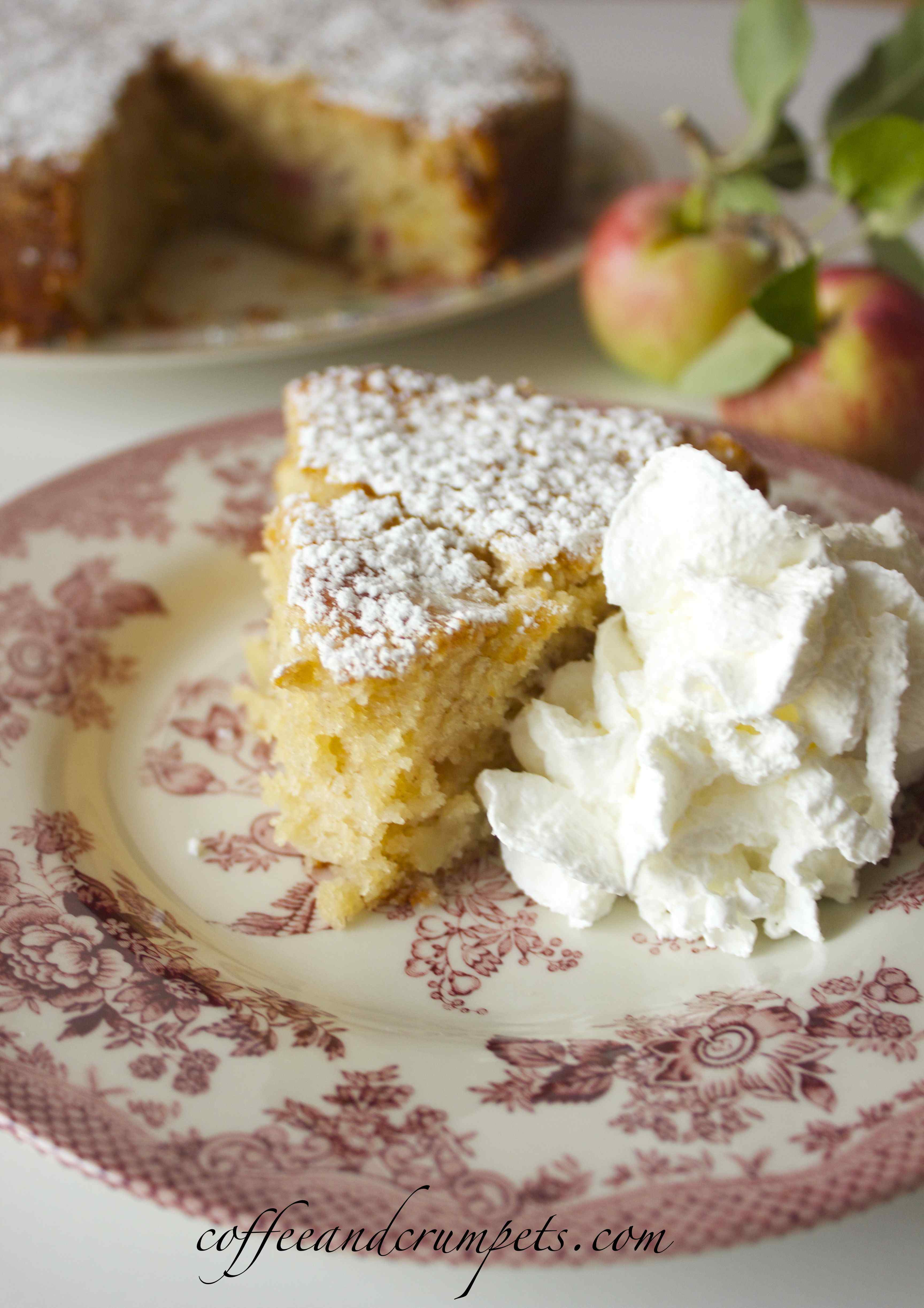 apple and rhubarb cake：fruity apple and rhubarb confection